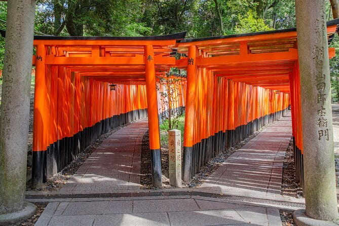 Kyoto & Nara & Uji: Full Day Sightseeing Tour from Osaka or Kyoto - Todai-ji and the Great Buddha