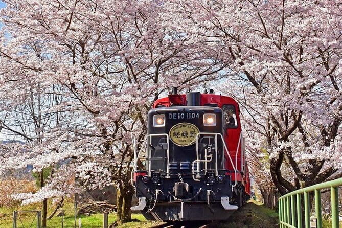 Kyoto & Nara & Uji: Full Day Sightseeing Tour from Osaka or Kyoto - Byodoin Omotesando and Uji matcha