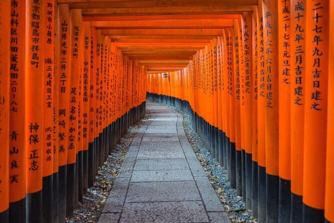 Kyoto & Nara & Uji: Full Day Sightseeing Tour from Osaka or Kyoto - Nara Park and the deer