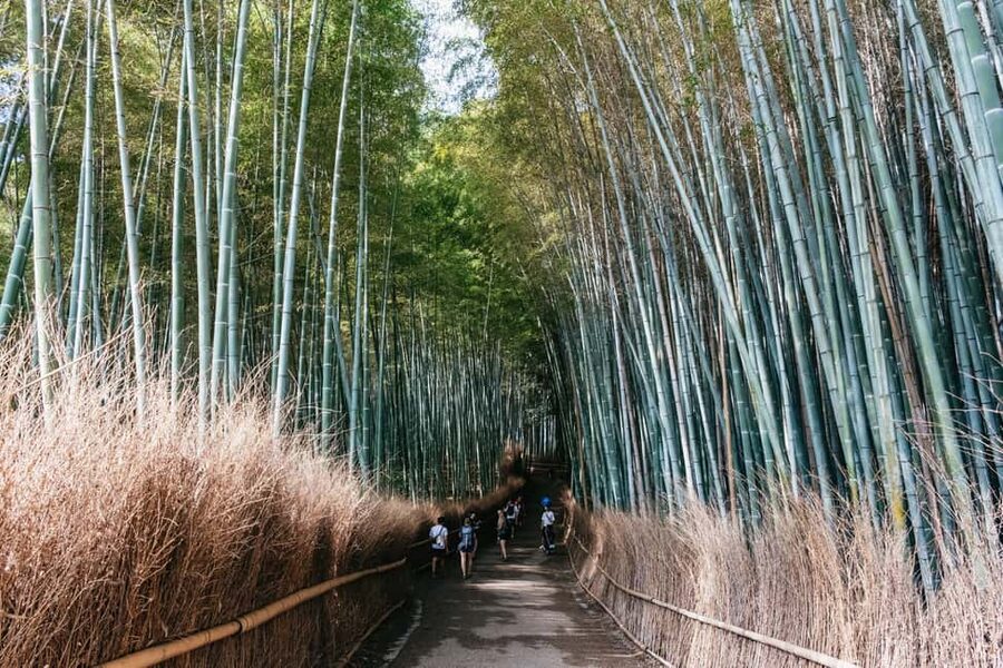 Kyoto: Nijo Castle, Kiyomizu & Fushimi Inari Guided Tour - Guides, languages, and how the day is managed