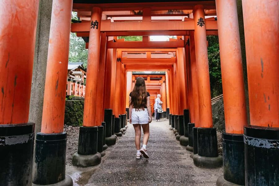 Kyoto: Nijo Castle, Kiyomizu & Fushimi Inari Guided Tour - Arashiyama Bamboo Grove before the crowds
