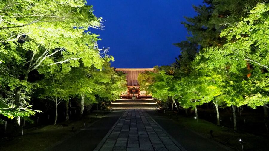 Kyoto: Ninnaji Temple Entry Ticket - Who should choose Ninnaji Temple?
