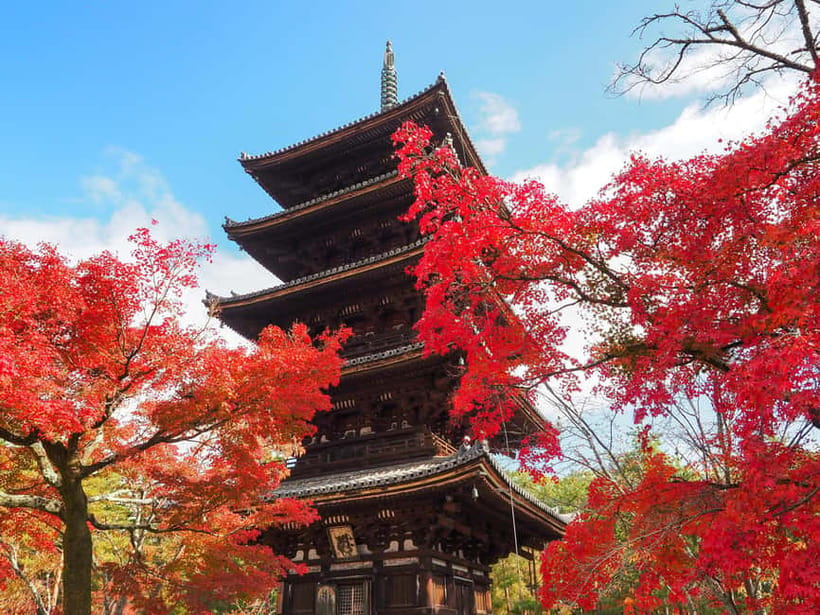Kyoto: Ninnaji Temple Entry Ticket - Why Ninnaji makes a good Kyoto temple stop