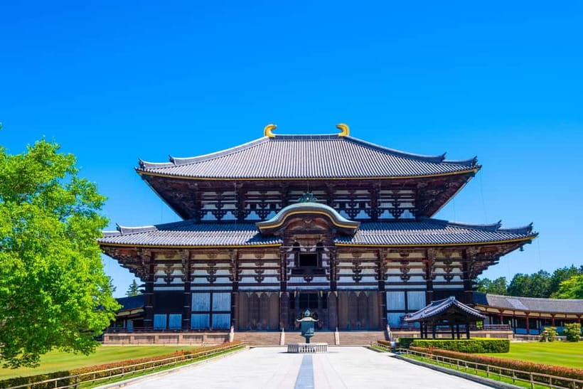 Kyoto/Osaka: Kinkakuji, Bamboo Forest, and Nara Deer Park - What this day trip is really designed to do