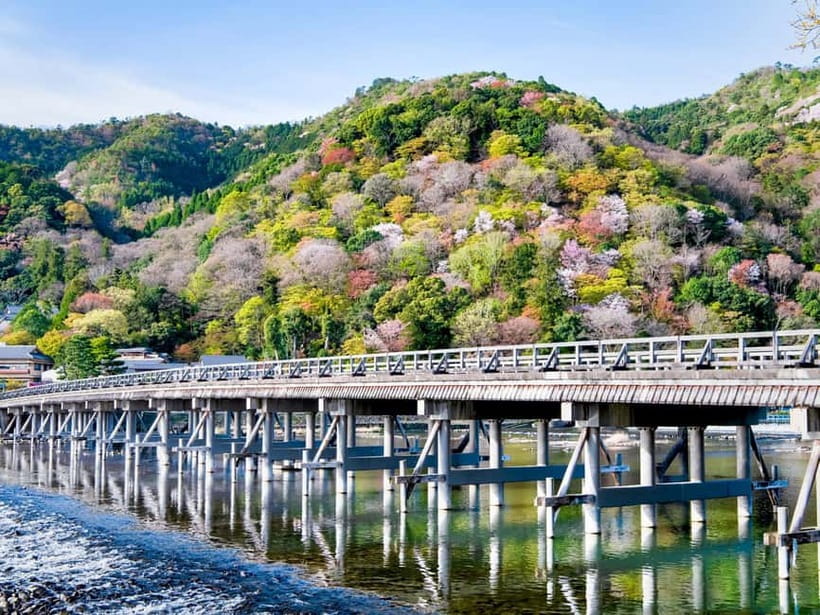 Kyoto/Osaka: Kinkakuji, Bamboo Forest, and Nara Deer Park - Todaiji and the Great Buddha