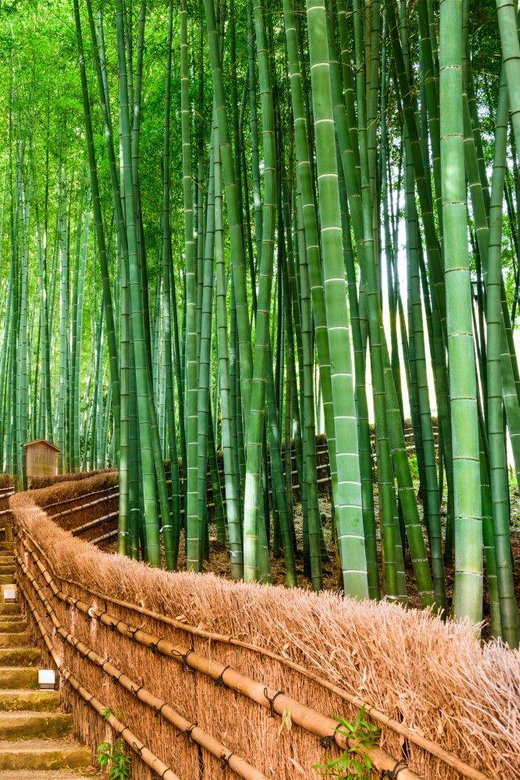 Kyoto/Osaka: Kyoto and Nara Customized Private Guided Tour - Gion and Hanami-koji: Kyoto’s old-style streets