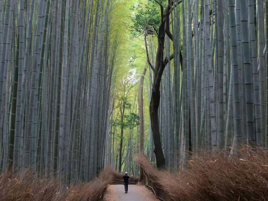 Kyoto/Osaka: Kyoto&Nara Customized Private Highlights Tour - What the $441 private price really buys you