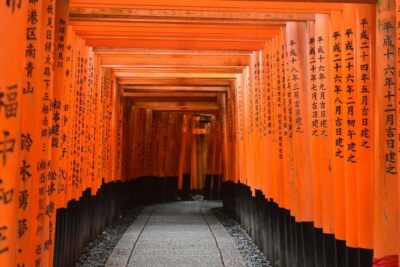 Kyoto/Osaka: Kyoto&Nara Customized Private Highlights Tour