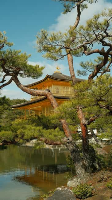 Kyoto/Osaka: Kyoto&Nara Customized Private Highlights Tour - Gion at the end of the day