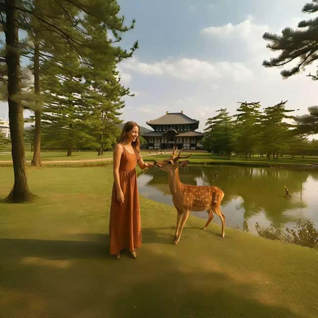 Kyoto/Osaka: Kyoto&Nara Customized Private Highlights Tour - How flexible is the private route?