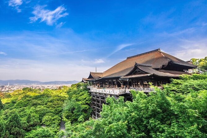 Kyoto, Osaka, Nara Full Day tour by Car English speaking Driver - What kind of tour is this, really?
