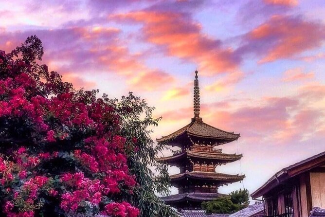 Kyoto, Osaka, Nara Private Tour by Car English Driver Guide - Kyoto’s bamboo, temples, and torii gates