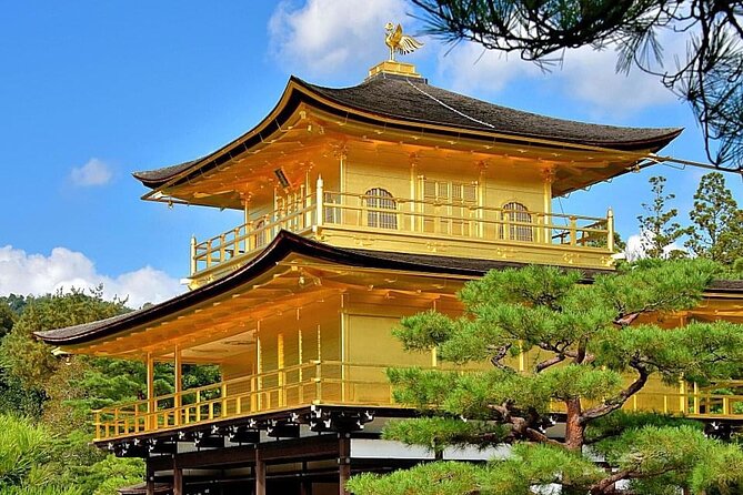 Kyoto, Osaka, Nara Private Tour by Car English Driver Guide - How much guidance will you actually get?