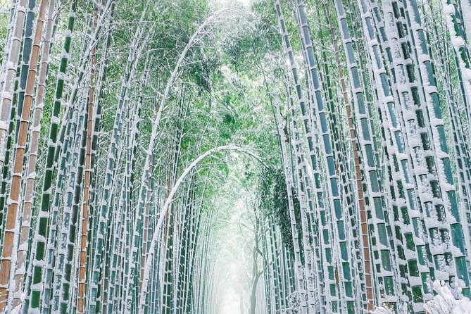Kyoto, Osaka, Nara Private Tour by Car English Driver Guide - Pickup, vehicle comfort, and timing