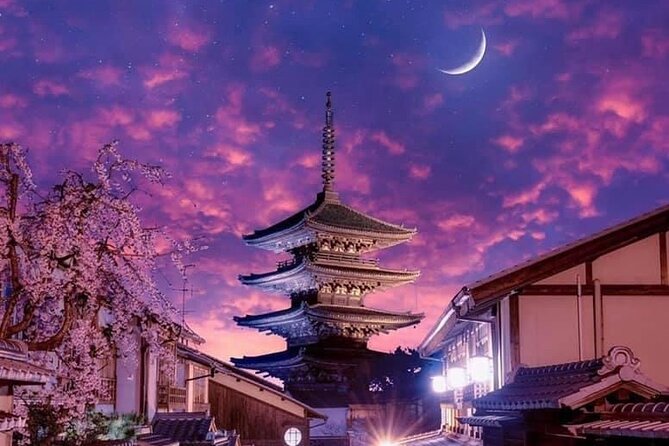Kyoto, Osaka, Nara Private Tour by Car English Driver Guide - What is not included, and why it matters