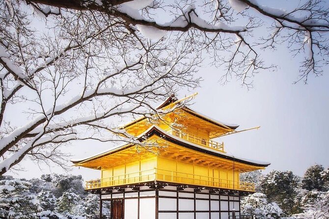 Kyoto, Osaka, Nara Private Tour by Car English Driver Guide - Who should book this private tour?