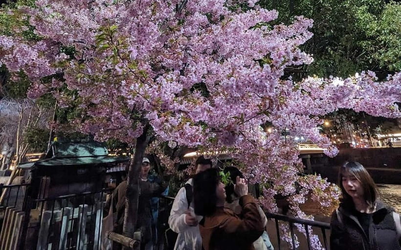 Kyoto: Personalize, private tour (3h, 5h, 8h) [W/Car Option] - Who will enjoy this private Kyoto tour?