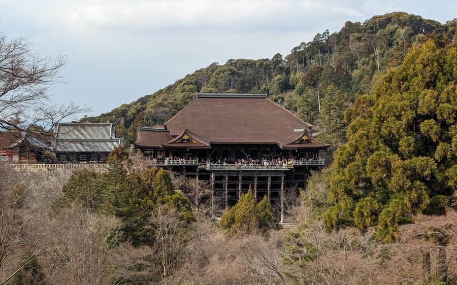 Kyoto: Personalize, private tour (3h, 5h, 8h) [W/Car Option] - Weather, clothing, and practical limits