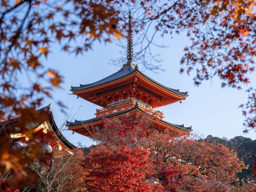 Kyoto: Personalized Guided Private Tour - What makes this Kyoto tour worth considering