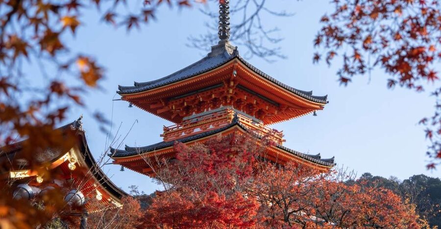 Kyoto: Personalized Guided Private Tour - A private six-hour plan for Kyoto