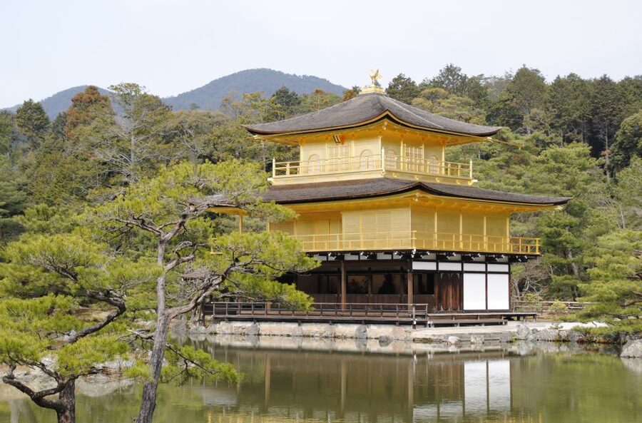 Kyoto: Personalized Guided Private Tour - Walking, trains, and the real pace of Kyoto
