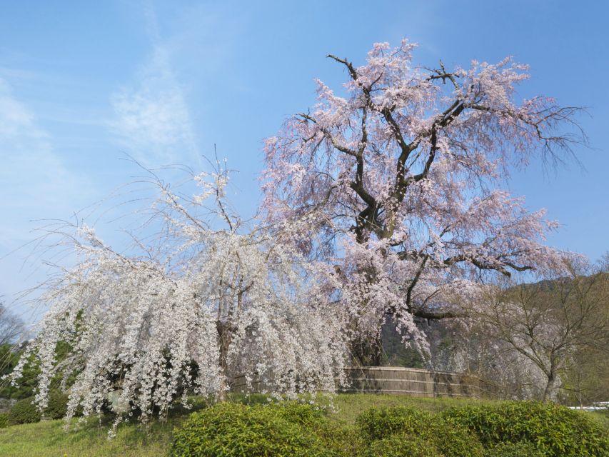 Kyoto: Private 2.5 Hour Historical Walking Tour - Who will enjoy this Kyoto walk?