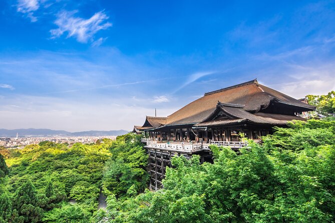 Kyoto Private 6 hour Tour: English Speaking Driver Only, No Guide - Timing, traffic, and the three-site rule