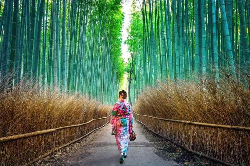 Kyoto: Private Customizable Day Tour with Guide and Vehicle - Key points at a glance