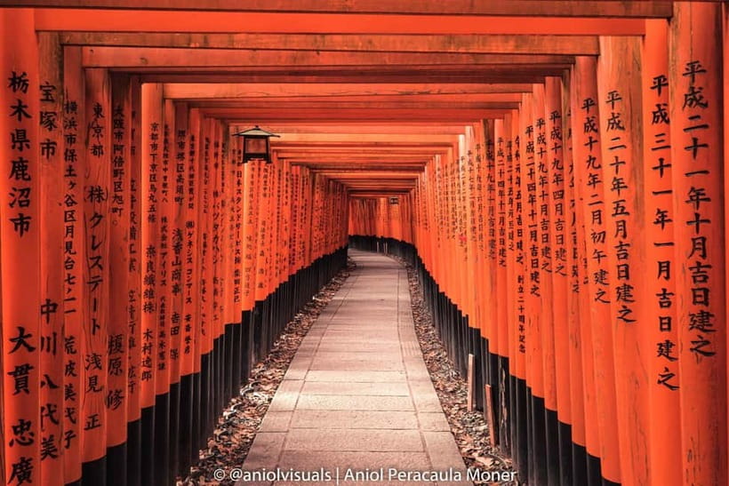 Kyoto: Private Customizable Day Tour with Guide and Vehicle - Why a private vehicle changes your Kyoto day