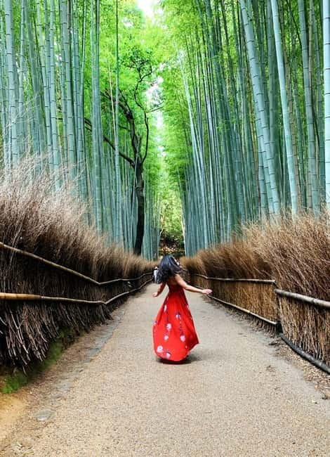 Kyoto: Private Customizable Day Tour with Guide and Vehicle - Fushimi Inari: thousands of torii and a decision about distance