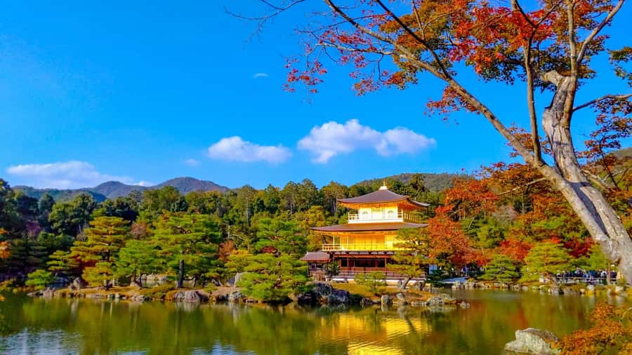 Kyoto: Private Customizable Day Trip by Car - Kinkaku-ji: Kyoto’s famous Golden Pavilion