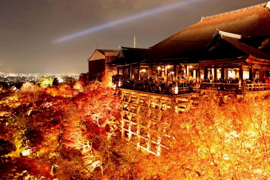 Kyoto: Private Customizable Day Trip by Car - What the driver does, and what the driver does not do