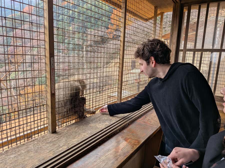 Kyoto: Private Customizable Day Trip by Car - Why the private car can be worth the cost