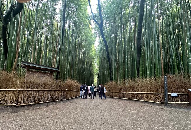 Kyoto Private Customizable Day Trip With English chauffeur - Key points to know before booking