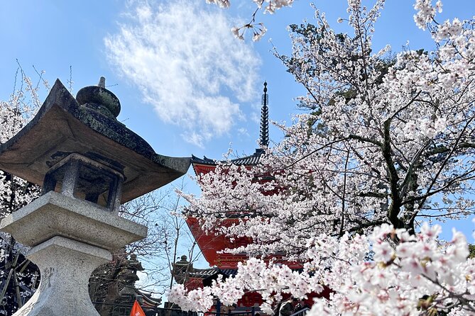Kyoto Private Customizable Day Trip With English chauffeur - Kyoto Imperial Palace and its formal grounds