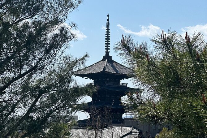 Kyoto Private Customizable Day Trip With English chauffeur - Kinkaku-ji, Kyoto’s golden reflection