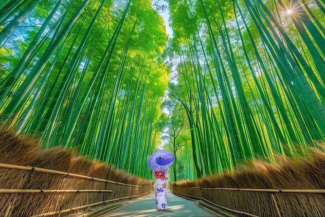 Kyoto Private Customized Day Tour with Guide - Key points to know before booking