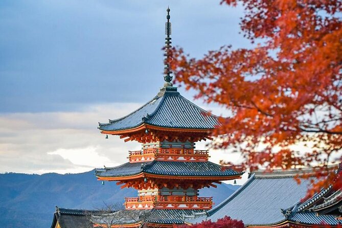 Kyoto Private Customized Day Tour with Guide - What this private Kyoto day is really buying you