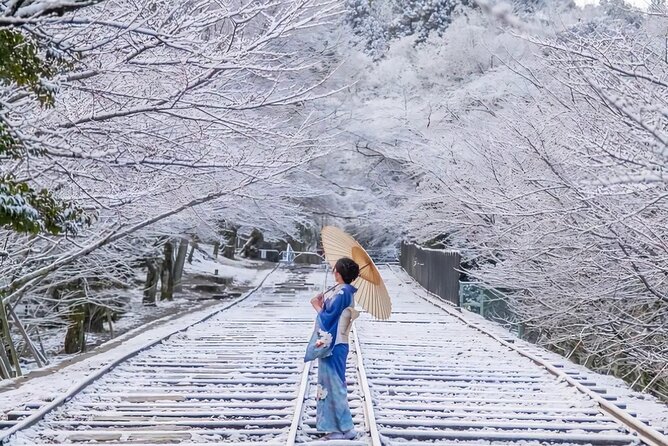 Kyoto Private Customized Day Tour with Guide - Arashiyama Bamboo Forest: begin among the bamboo