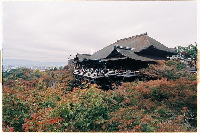 Kyoto Private Day Tour with English-Speaking Driver from Kyoto - Kodai-ji and Yasaka Shrine