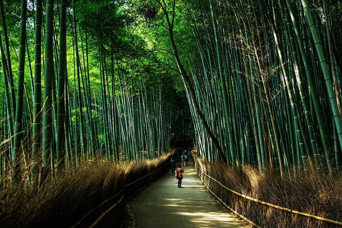 Kyoto: Private Flexible 3 hours tour with a local guide - Arashiyama, markets, and requests beyond the sample route