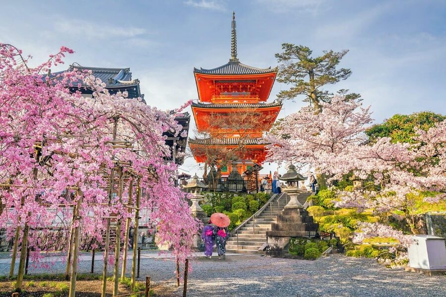 Kyoto: Private Highlights Tour with Guide and Luxury Vehicle - How much can you really see in ten hours?