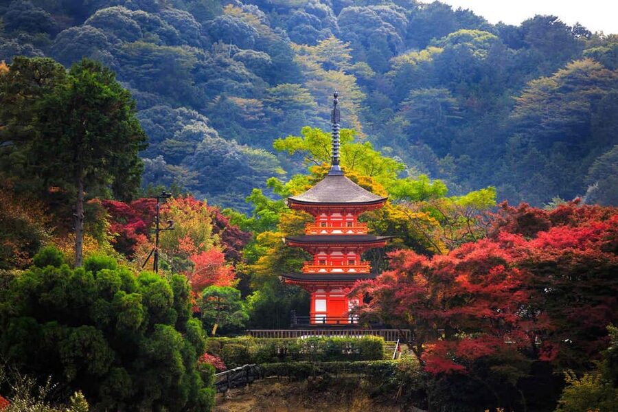 Kyoto: Private Highlights Tour with Guide and Luxury Vehicle - Kiyomizu-dera, Ninenzaka, and Sannenzaka