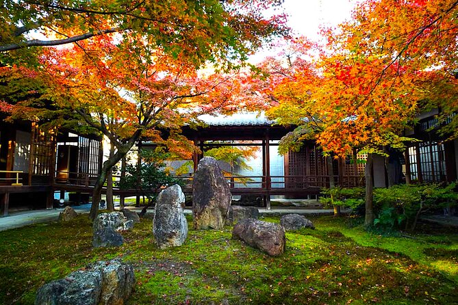 Kyoto Private Tour: One Day Highlights and Cultural Gems - Fushimi Inari closes the day with red torii gates