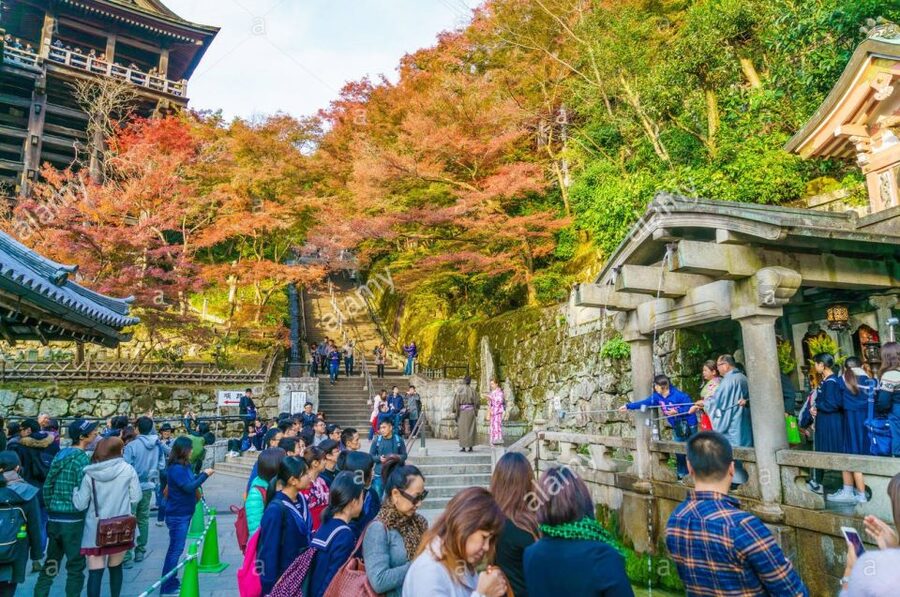 Kyoto: Private Tour with Local Licensed Guide - Why a private guide helps in Kyoto