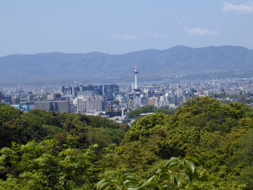 Kyoto: Private Tour with Local Licensed Guide - Fushimi Inari and the famous red torii
