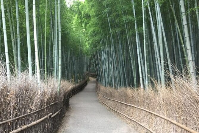 Kyoto Shogun Cycling Tour - Rain plans and the practical side of riding