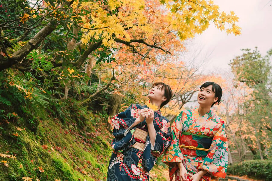 Kyoto: Tea Ceremony in 100-year-old Kyo-Machiya Townhouse - Is $31 a good value?
