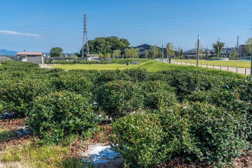 Kyoto: Tea Museum Tickets and Matcha Grinding Experience - Who should book this experience?