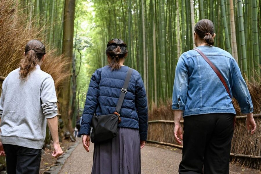 Kyoto to Arashiyama Day Trip - Private & Personalized - Why Arashiyama works well as a private day trip